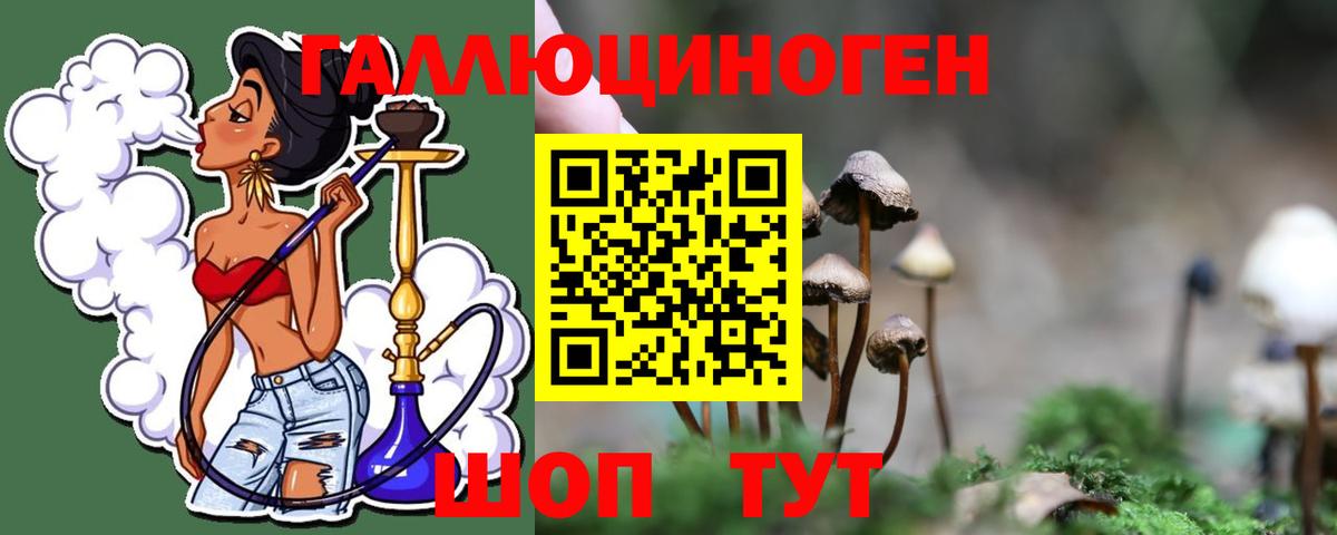 Псилоцибиновые грибы Psilocybine cubensis Златоуст