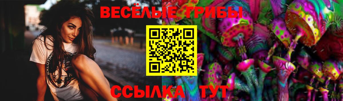 Галлюциногенные грибы MAGIC MUSHROOMS  Вход с VPN  Галлюциногенные грибы Magic Shrooms  Златоуст 